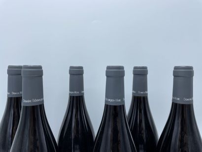 6 bouteille de Beaune 1er Cru, Les Vignes...