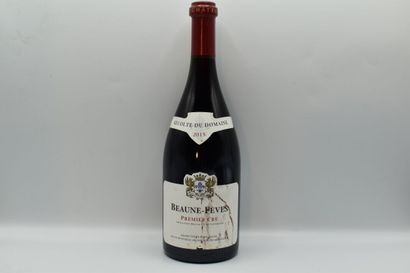 Réunion de 2 bouteilles de Beaune



1 Bouteille...