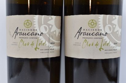 Réunion de 3 Bouteilles du Monde,



1 Bouteille...