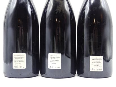 Réunion de 6 bouteilles Nuits St Georges



4...