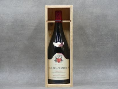 Réunion de 3 Magnums Bourgogne Cote de Nuits



1...