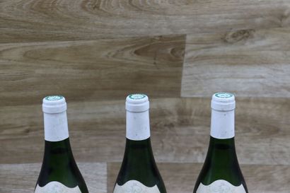 CHASSAGNE MONTRACHET 1er Cru
3 bouteilles...