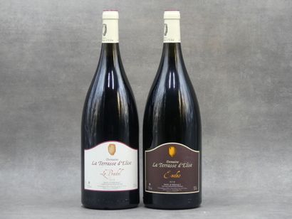 Réunion de 2 bouteilles Herault



1 Bouteille...