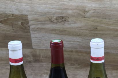 Lot de 5 Bouteilles DOMAINE JESSIAUME PERE...