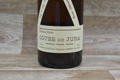 COTE DU JURA 1985
1 magnum de COTE DU JURA...
