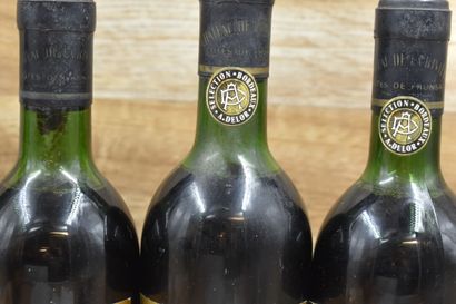 6 bouteilles de CHATEAU DE LA RIVIERE 19...