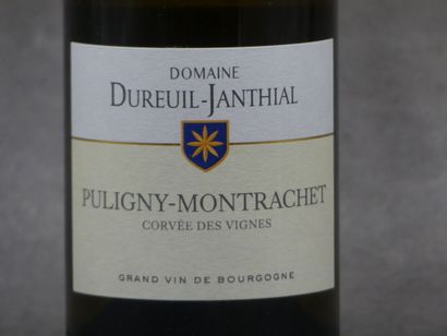Réunion de deux bouteilles Puligny Montrachet



1...