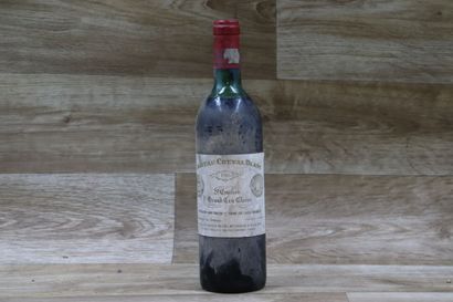 CHEVAL BALNC
1 bouteille de CHATEAU BLANC...