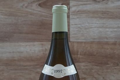 1 magnum 1,5l de Saint-Aubin Les Pucelles...