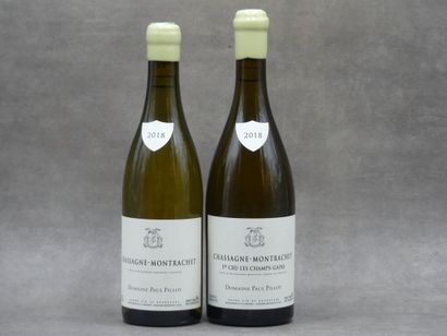 Réunion de deux bouteilles Chassagne Montrachet



1...