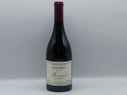 Réunion de deux bouteilles de Bourgueil



1...