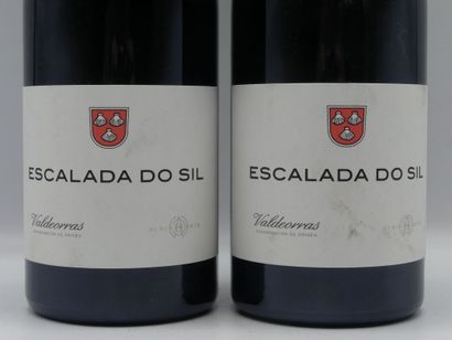 Réunion de 4 bouteilles, Vins du Monde, Espagne



2...