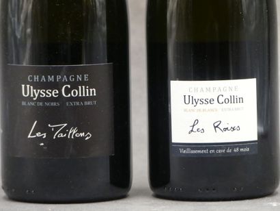 Réunion de 2 bouteilles de Champagne



1...