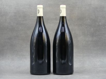 Réunion de 2 bouteilles Herault



1 Bouteille...