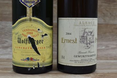 GEWURZTRAMINER 2004
1 Magnum de GEWURZTRAMINER...