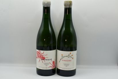 Réunion de 3 bouteilles provenance Argentine...