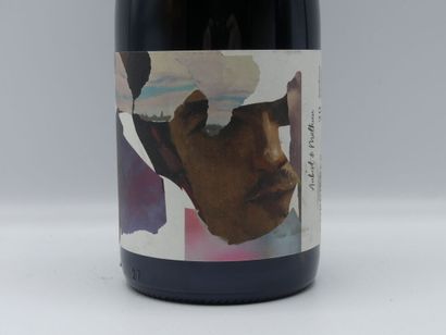 Réunion de 3 Bouteilles Languedoc-Roussillon,



1...