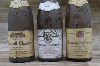 BOURGOGNE
Réunion de 3 bouteilles : 



1...