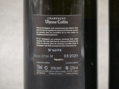 Réunion de 2 bouteilles de Champagne



1...