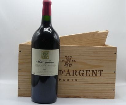 Réunion deux Magnums Languedoc-Roussillon,



1...