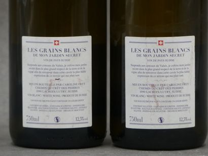 Réunion de 3 bouteilles de blanc



1 Bouteille...