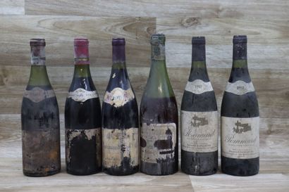 Réunion de 11 bouteilles comprenant :

-...