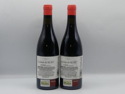 Réunion de 4 bouteilles, Vins du Monde, Espagne



2...