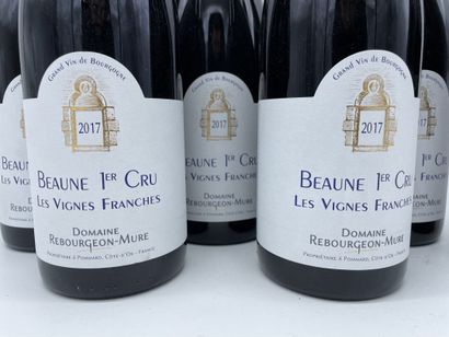 6 bouteille de Beaune 1er Cru, Les Vignes...