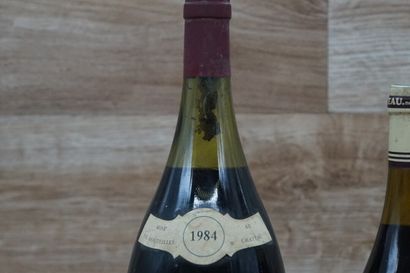2 flacons de vin rouge Bourgogne Côte de...