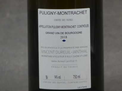 Réunion de deux bouteilles Puligny Montrachet



1...