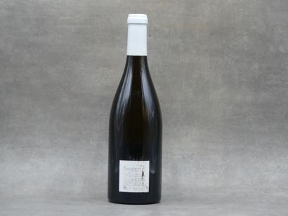 Réunion de 3 bouteilles de Sancerre



1...
