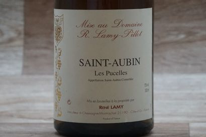 1 magnum 1,5l de Saint-Aubin Les Pucelles...