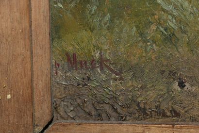Johannes Peter MÜCK (1831-1919), Discussion...