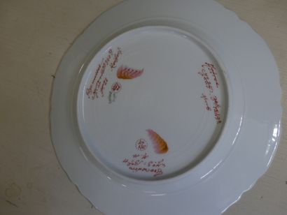 Théodore HAVILAND, modèle d'essai. Ensemble...