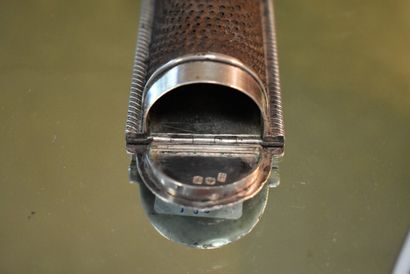 English silver and metal nutmeg grater, decorated...