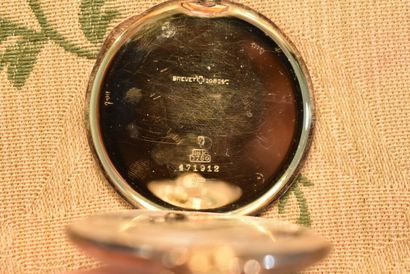 Locle & Geneva. Zodiac. Chronometer with...