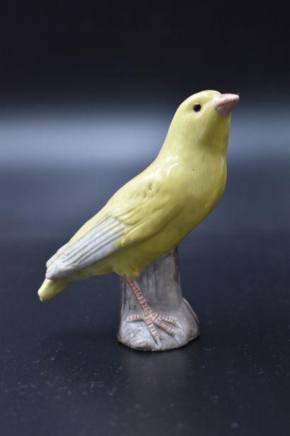 Réunion d'une tisanière et figure de canari...