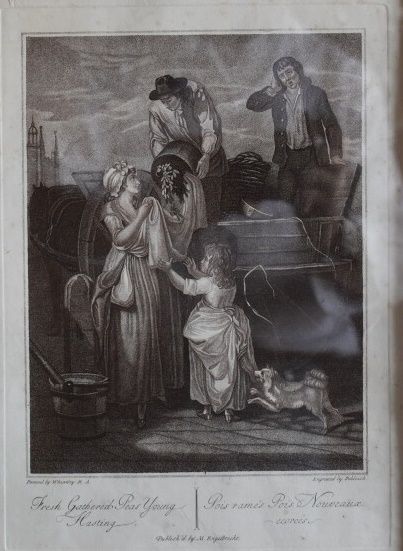 Paire de gravures d'après WEAILY ET VOGEL,...