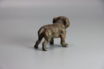 VIENNE. Bulldog, bronze patiné et polychromé....