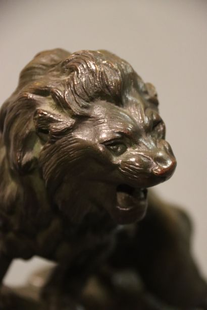 Thomas CARTIER (1879-1943) : Lion rugissant,...