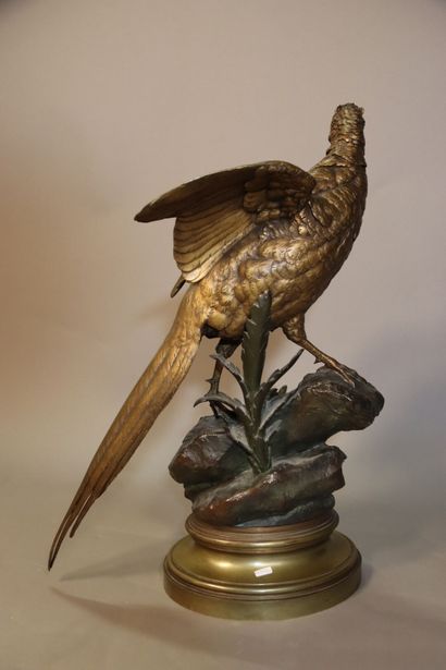 Alfred DUBUCAND (1828-1894). Le Faisan au...