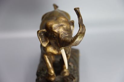 Eléphant
Ecole du XXème siècle, Eléphant...