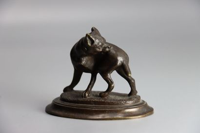 Bulldog 
VIENNE. Chien Bulldog se grattant

Bronze

Marque...