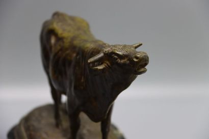 Rosa BONHEUR
d'après Rosa BONHEUR (1822-1899)

Taureau,...