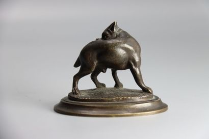Bulldog 
VIENNE. Chien Bulldog se grattant

Bronze

Marque...