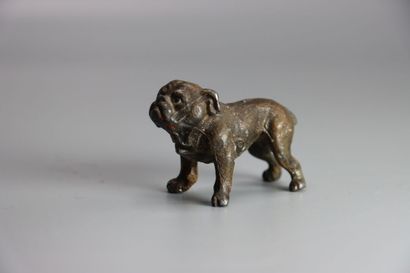 VIENNE. Bulldog, bronze patiné et polychromé....