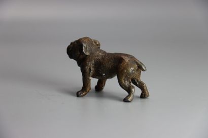 VIENNE. Bulldog, bronze patiné et polychromé....