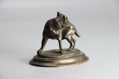 Bulldog 
VIENNE. Chien Bulldog se grattant

Bronze

Marque...