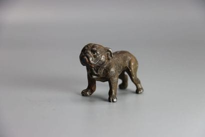 VIENNE. Bulldog, bronze patiné et polychromé....