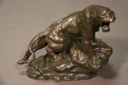 Thomas CARTIER (1879-1943) : Lion rugissant,...